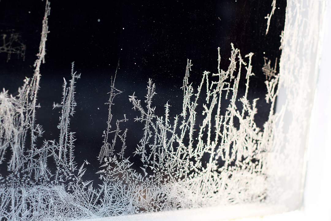 frost5